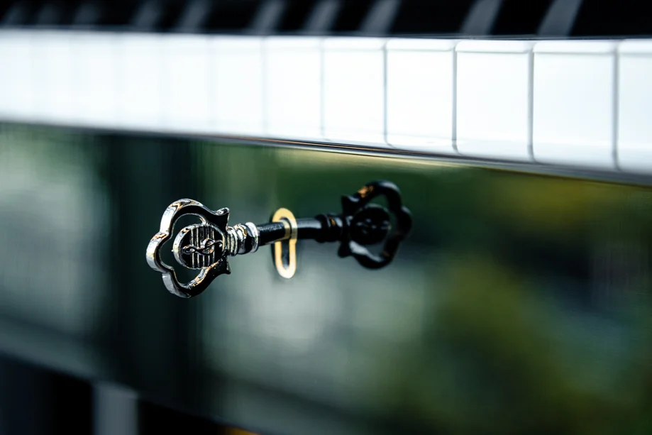 نمای نزدیک از کلید پیانو آکوستیک دیواری پتروف