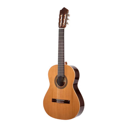 گیتار Altamira مدل N100+