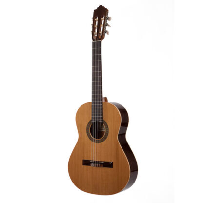گیتار آکوستیک Altamira مدل N100+