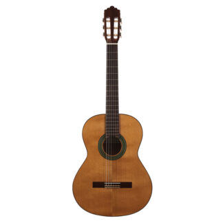 گیتار آکوستیک Altamira مدل N100+