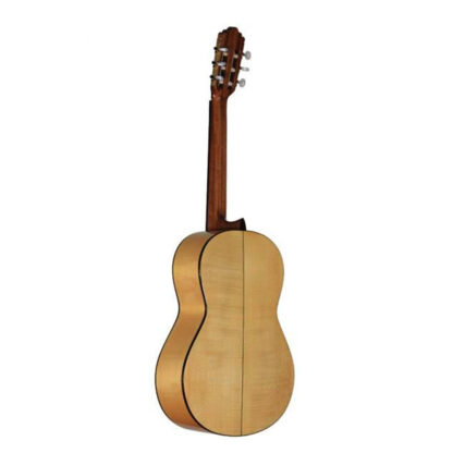 گیتار آکوستیک Altamira مدل N300F