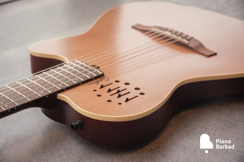 گیتار Godin مدل Multiac Nylon Encore Natural SG برای چه کسی مناسب است؟