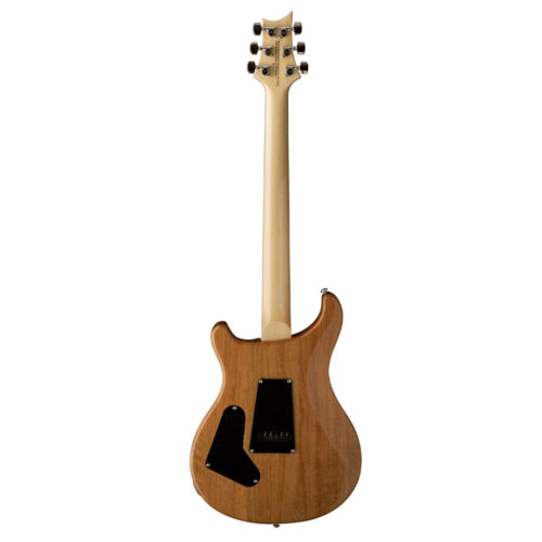 گیتار الکتریک PRS مدل CU4 TG