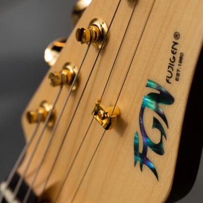 گیتار الکتریک FGN مدل EOS-FM-R VVQ