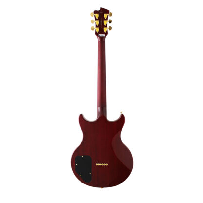 گیتار الکتریک FGN مدل ERS-FM-R CSQ