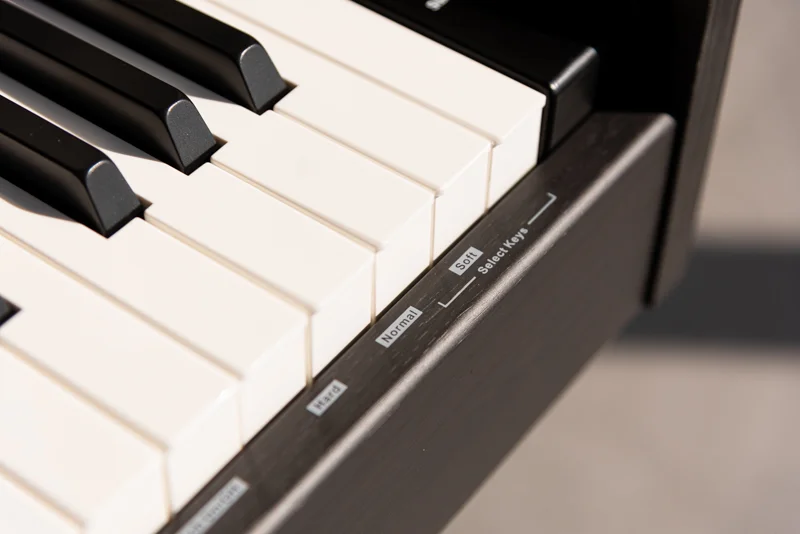 امکان کنترل لحن صوتی و تاچ پیانو اورلا CDP 1