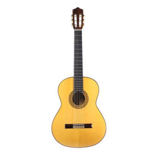 گیتار آکوستیک Perez مدل 660F