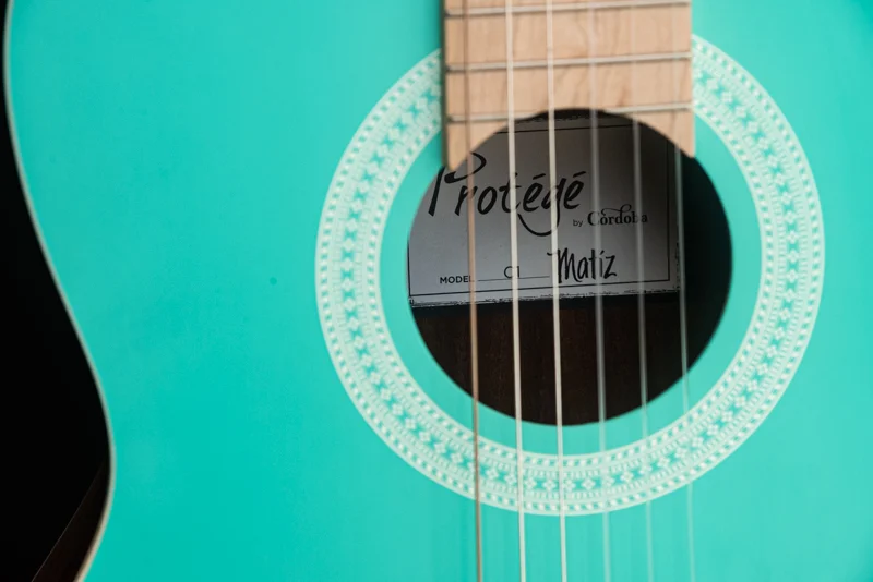 گیتار Cordoba مدل C1 Matiz in Aqua برای چه کسانی مناسب است؟