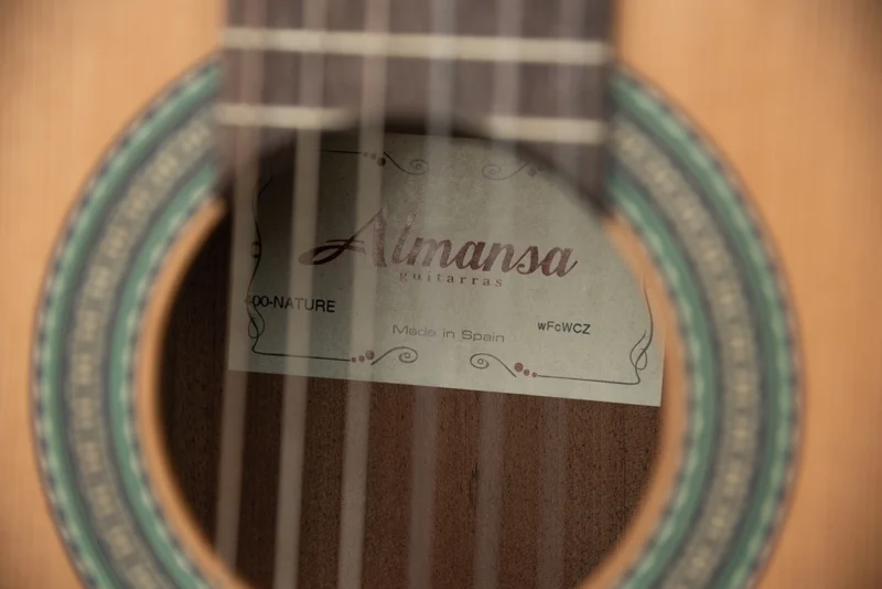 گیتار Almansa 400Natural برای چه کسانی مناسب است؟