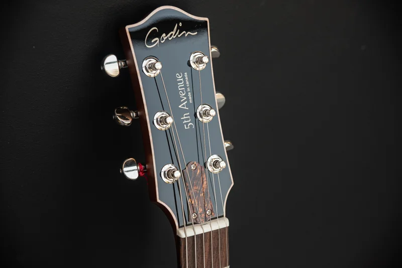 گیتار الکتریک Godin مدل 5th Avenue CW Kingpin II P90 Cognac Burst برای چه کسانی مناسب است؟