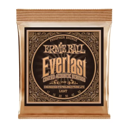 سیم گیتار Ernie Ball مدل 2548 Everlast