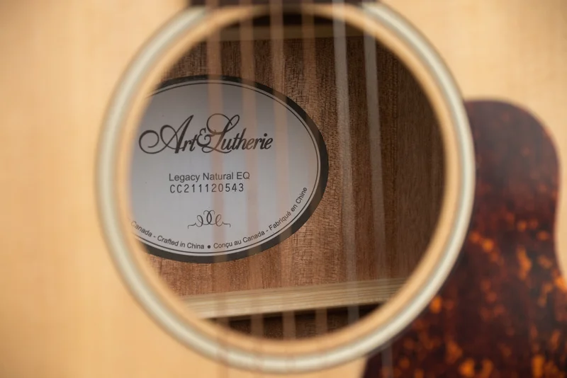 گیتار آکوستیک آرت اند لوتری مدل Legacy Natural EQ برای چه کسانی مناسب است؟