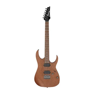 گیتار الکتریک آیبانز Ibanez RG421-MOL
