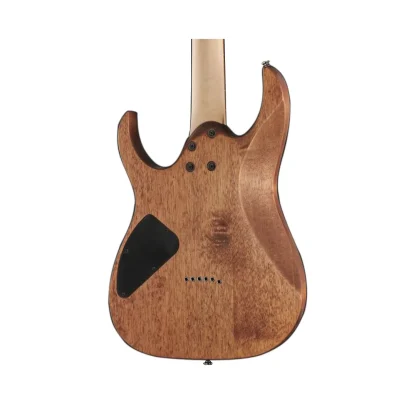 گیتار الکتریک آیبانز Ibanez RG421-MOL