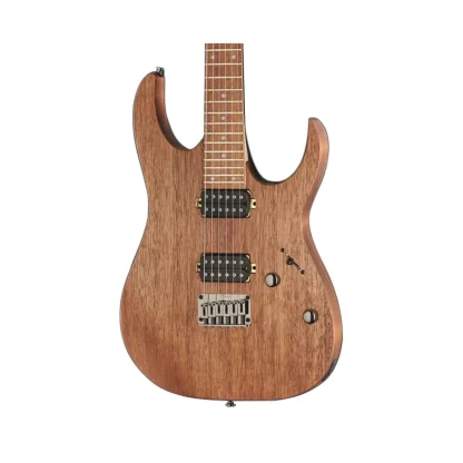 گیتار الکتریک آیبانز Ibanez RG421-MOL