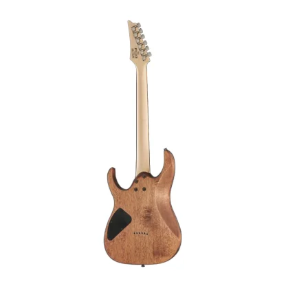 گیتار الکتریک آیبانز Ibanez RG421-MOL