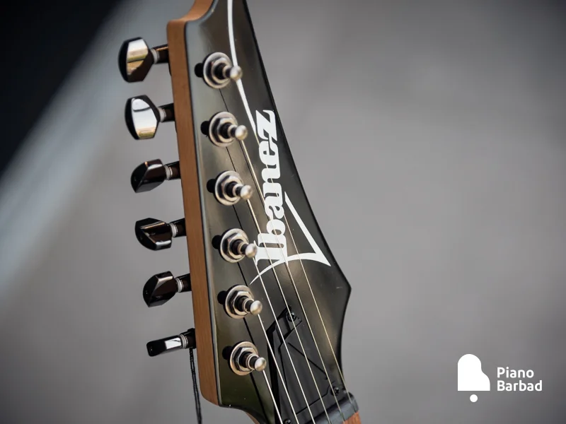 گیتار الکتریک Ibanez RG421-MOL برای چه کسانی مناسب است؟