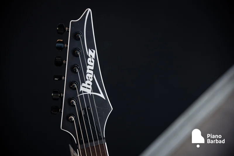 گیتار الکتریک Ibanez RG421EX-BKF برای چه کسانی مناسب است؟