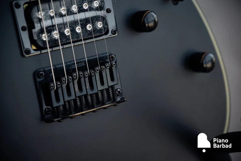 بریج F106 گیتار الکتریک Ibanez RG421EX-BKF