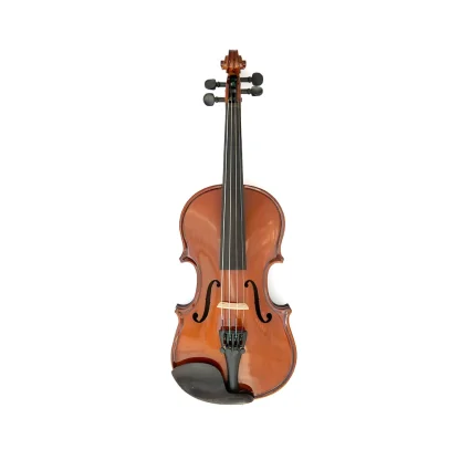 ویولن آکوستیک Hofner مدل AS-060-V110