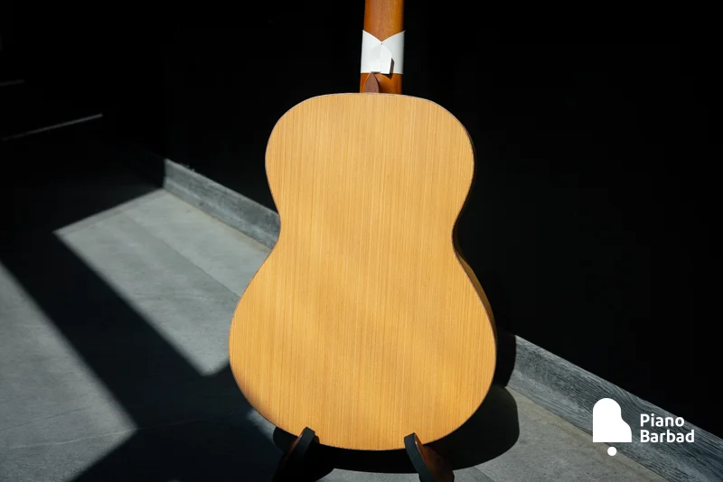 صفحه بغل و پشت Sycamore برای صدای واضح