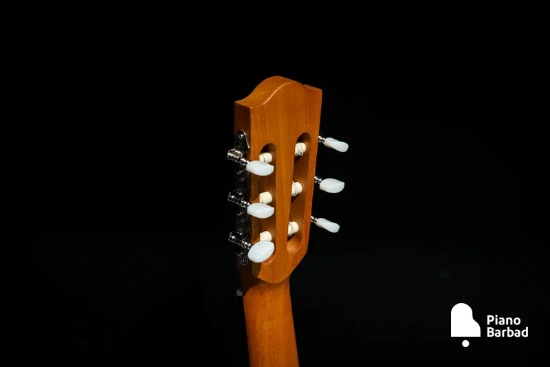 طراحی Ergoneck برای راحتی نوازندگی با Alhambra 2F