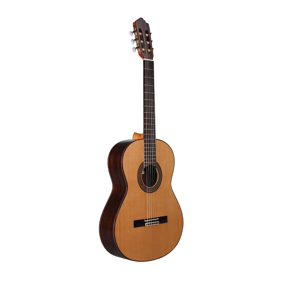 گیتار آلتامیرا مدل Altamira N300C