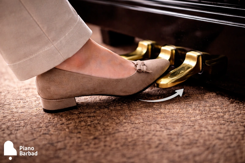 تکنیک‌های استفاده از پدال راست - پیانو باربد