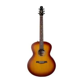 گیتار سیگال مدل Seagull Entourage MJ Rustic Burst
